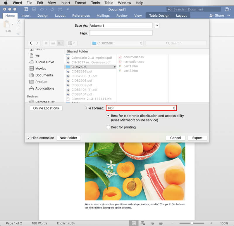 convert word document for windows to mac